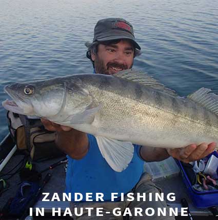 Zander fishing in Haute-Garonne